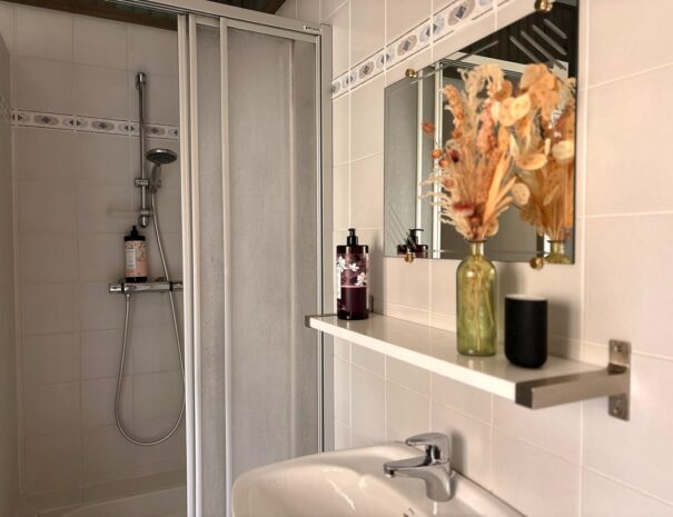 Salle de douche ch 5,6 et 7.