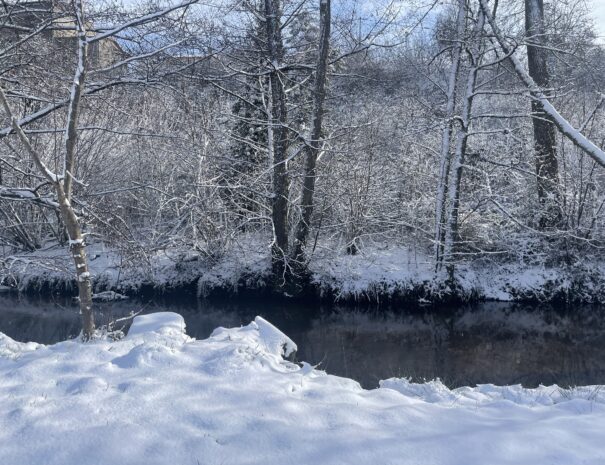 Le ruisseau enneigé