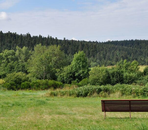 La maison est entourée par la forêt