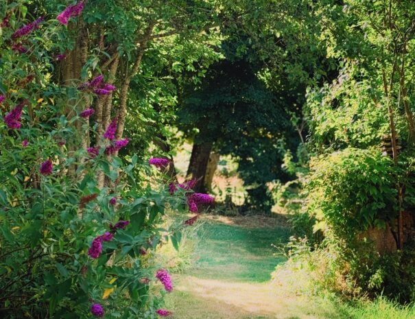 Gîte au vert en Auvergne