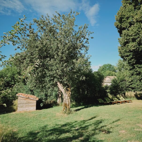 Le jardin, avec la cabane pour enfants