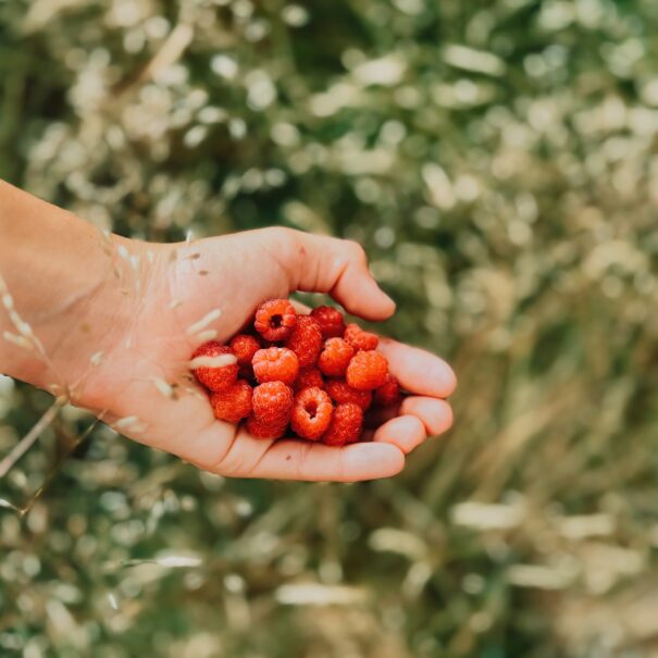 Servez vous en fruits rouges l'été