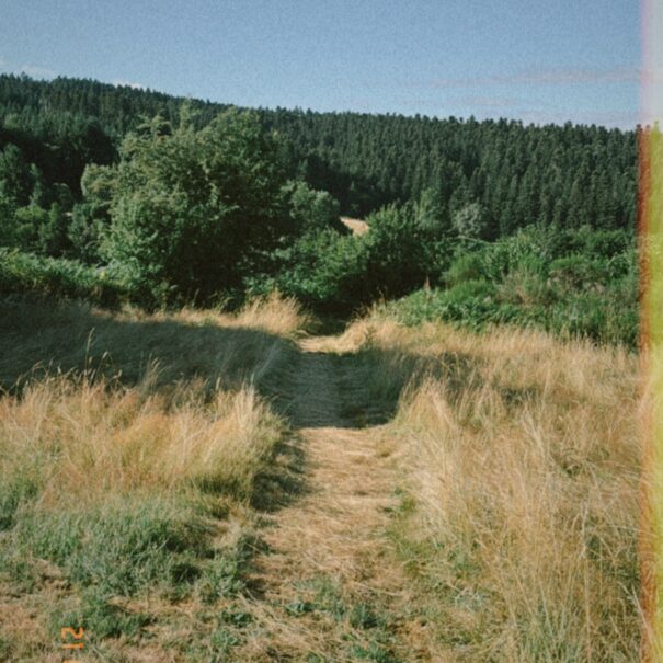 du jardin, partez vous balader en forêt
