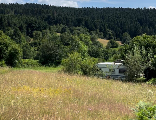 Caravane et prairie