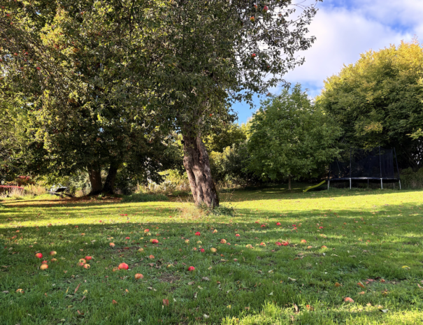 Gîte avec grand jardin