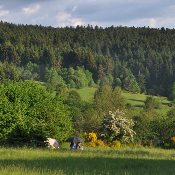 Un environnement 100% nature