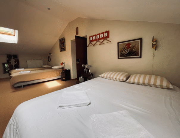 Chambre 6